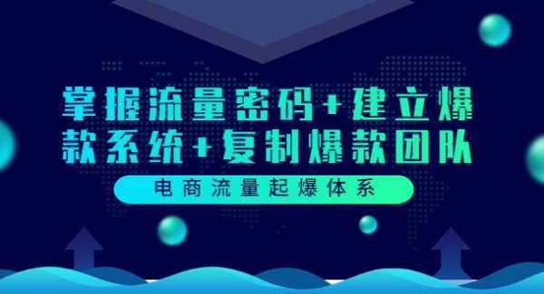 电商流量起爆体系：掌握流量密码+建立爆款系统+复制爆款团队（价值599）
