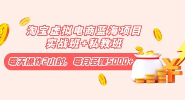 淘宝虚拟电商蓝海项目实战班 私教班