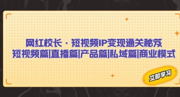 短视频IP变现通关秘笈：短视频篇 直播篇 产品篇 私域篇 商业模式
