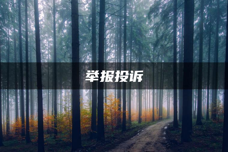 举报投诉