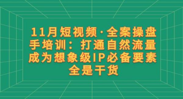 11月短视频·全案操盘手培训：打通自然流量 成为想象级IP必备要素 全是干货