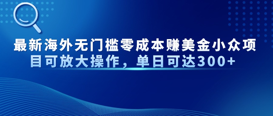 最新海外无门槛美金小众项目可放大操作，单日可达300+